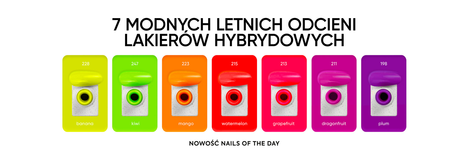 notd 