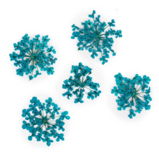 Suszone kwiatki MollyLac Turqui