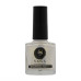 SAGA Professional Stamping Chameleon 03, 8 ml