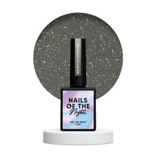 NAILSOFTHEDAY Reflective top Shimmer, 10 ml