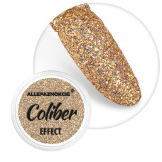Pyłek do paznokci Coliber Effect 1 g Nr 05